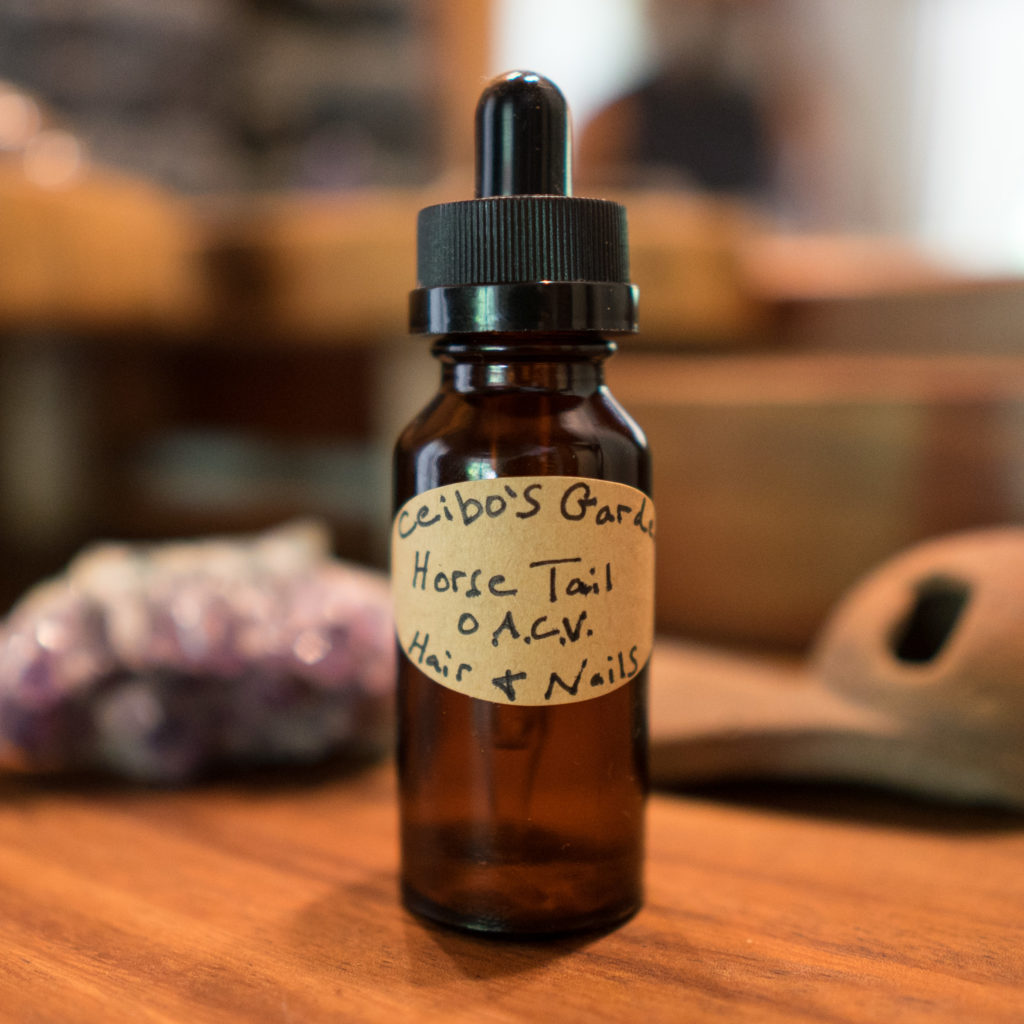 Horse Tail Tincture 1 oz