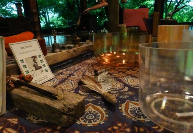 Ceibo Website (16 of 39)