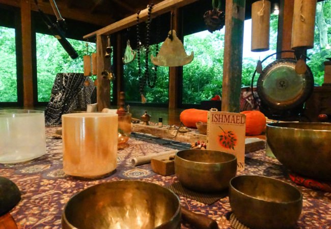 Ceibo Website (22 of 39)