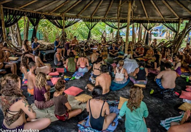 Ceibo Website (23 of 39)