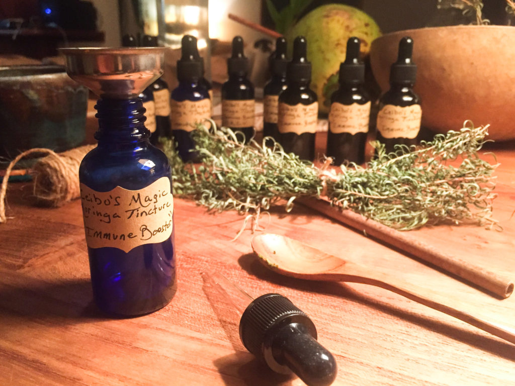 Moringa Tincture 1 oz